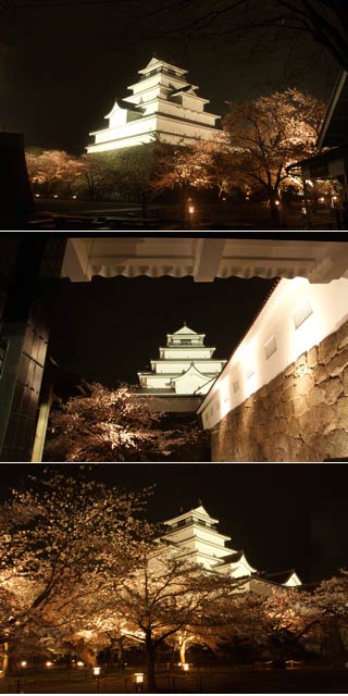 Wakamatsu Castle at night