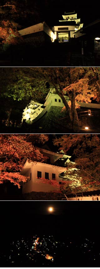 Gujo-Hachiman Castle at night