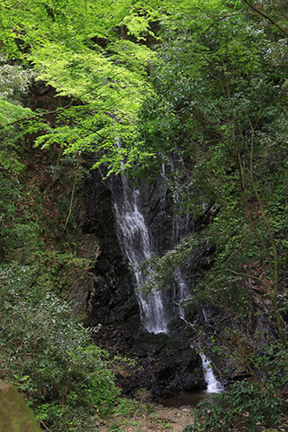 Hitachi Tamadare Falls