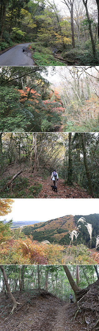 Hiking at Gozenyama