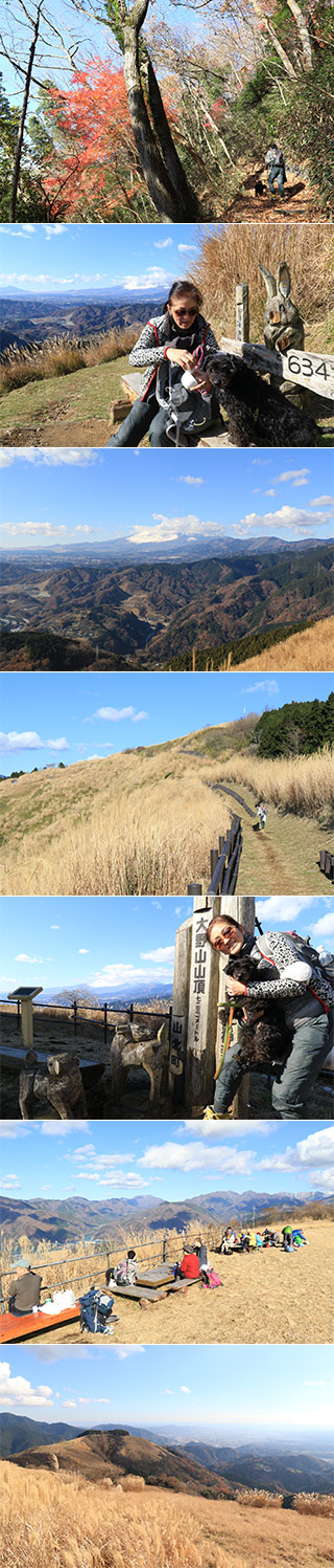 Hiking at Mt. Ono