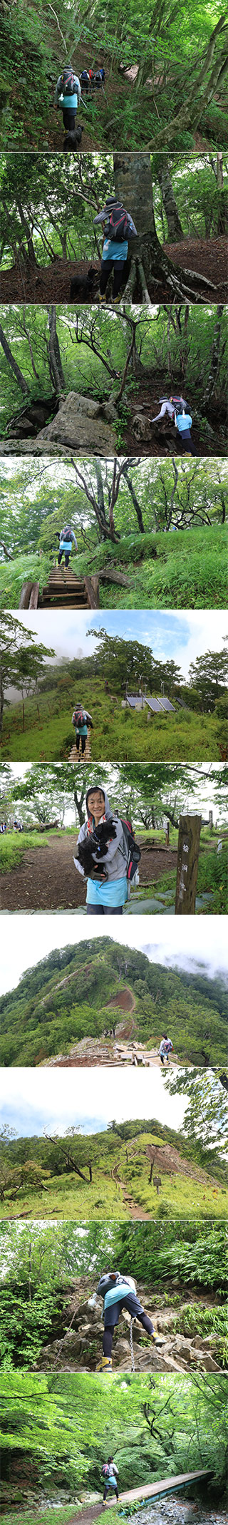 Mt. Hinokiboramaru Hiking