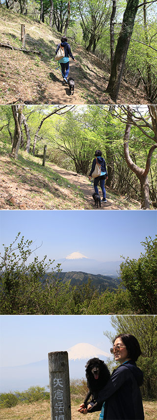 Mt. Yaguradake