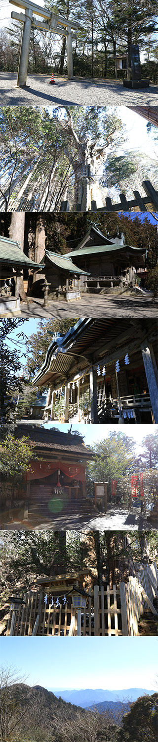 Tamaki Shrine