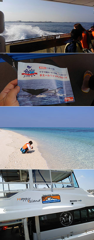 Whale Watching in Okinawa