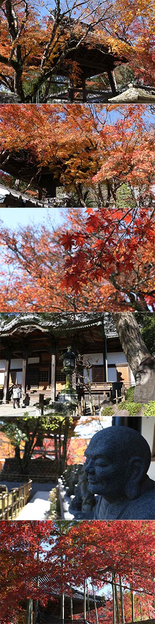 Koyo of Shuzenji Temple