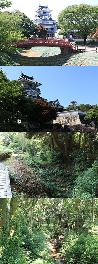 Yoshida Koyama Castle