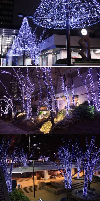 Shinjuku Illuminations 1