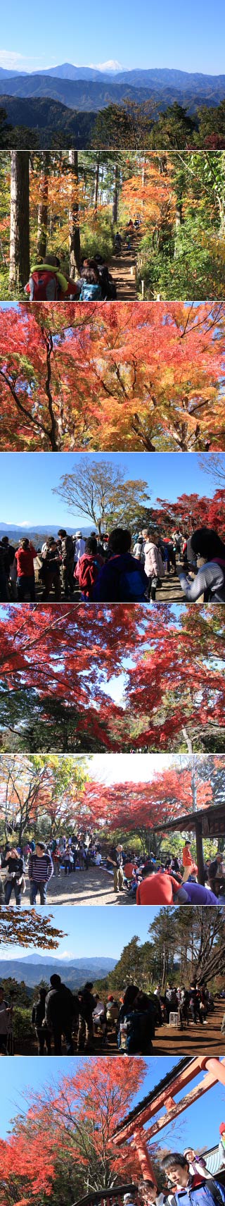 Koyo of Mt. Takao