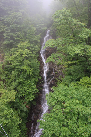 Mito Great Falls