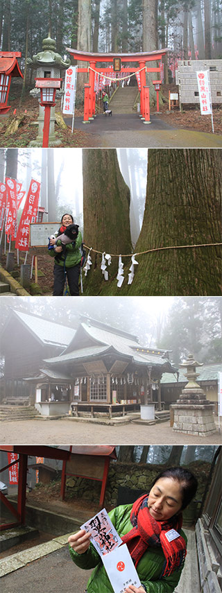 栃木羽黒山神社