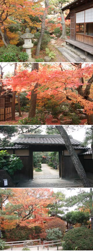 Shokoso Garden