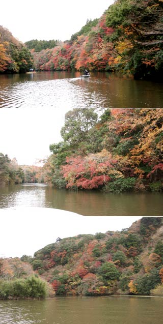 Lake Kameyama Koyo Cruising