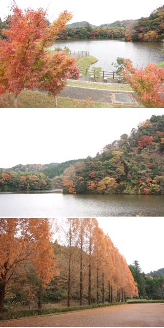 亀山湖の紅葉