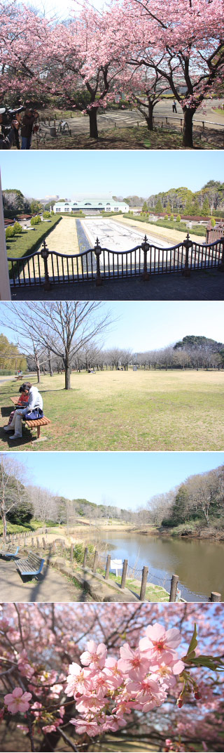 Aoba no Mori Park