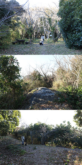 Okamoto castle