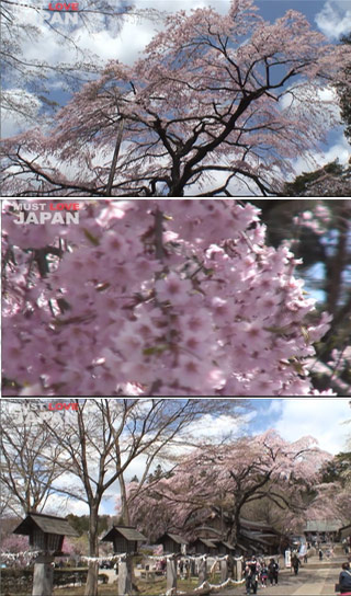 南湖神社