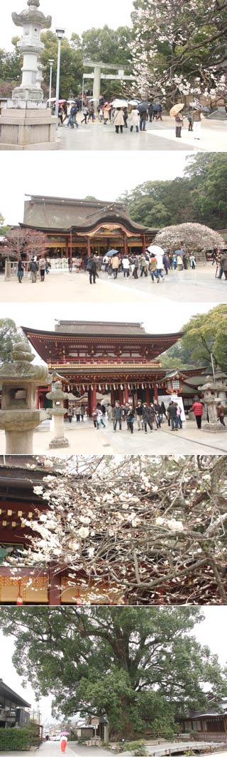 Dazaifu Tenmangu