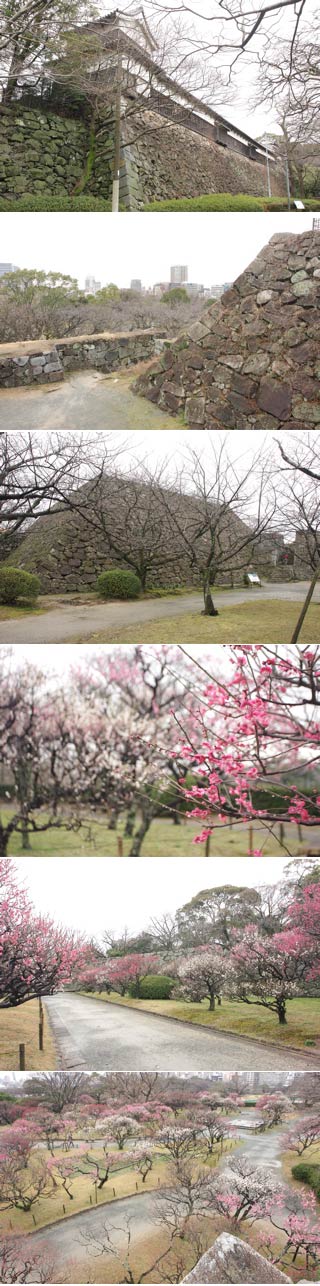 Fukuoka Castle