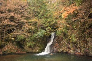 紅葉滝