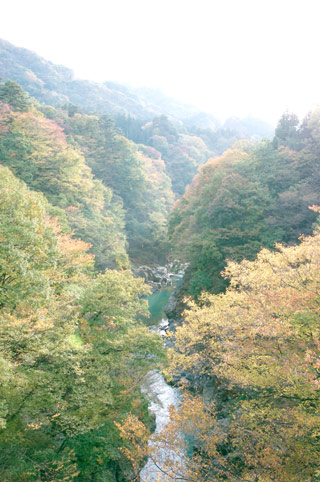 Agatsuma Valley