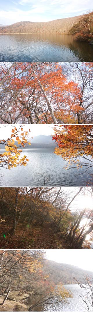 Konuma Pond