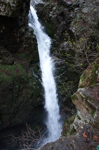 Maya Falls