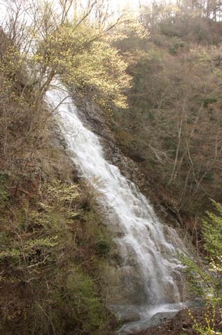 しゃくなげの滝