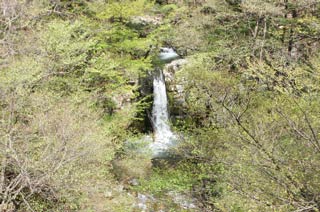 Koizumi Falls
