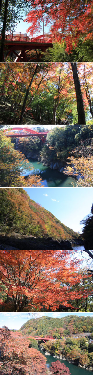 高津戸峡