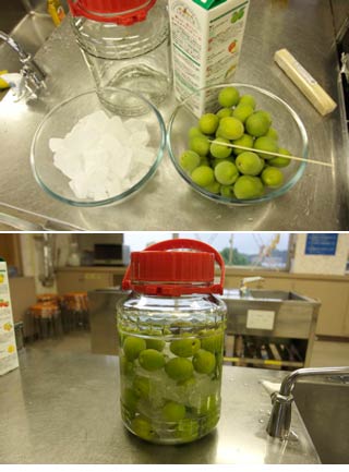 How to make Umeshu