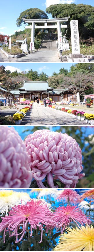 Gokoku Shrine