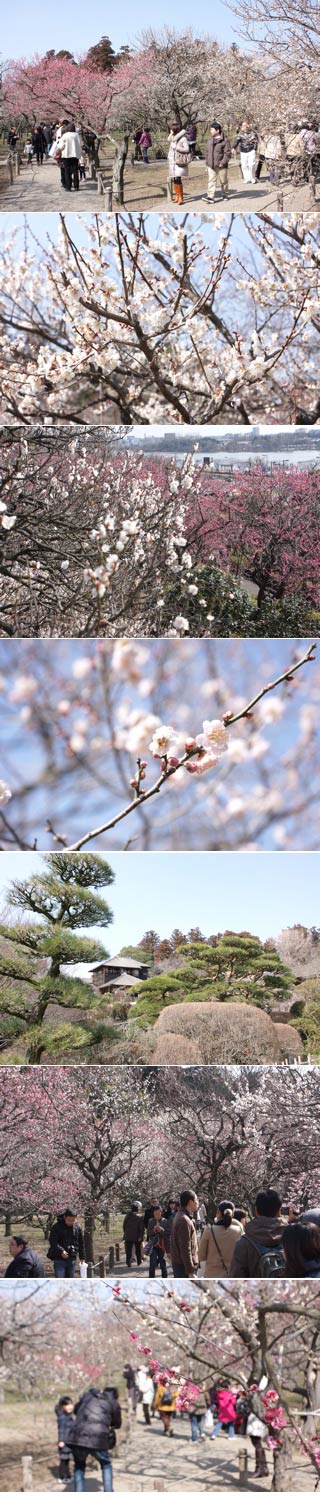 Kairakuen Garden