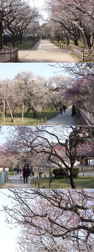 弘道館公園