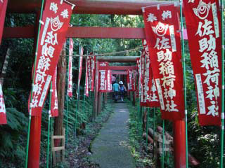 Sasuke Inari Shrine