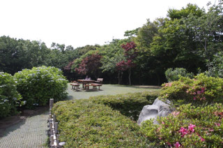 Genjiyama Park