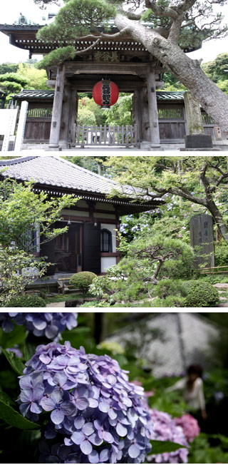 Hasedera Temple