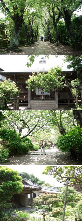 Gokurakuji Temple