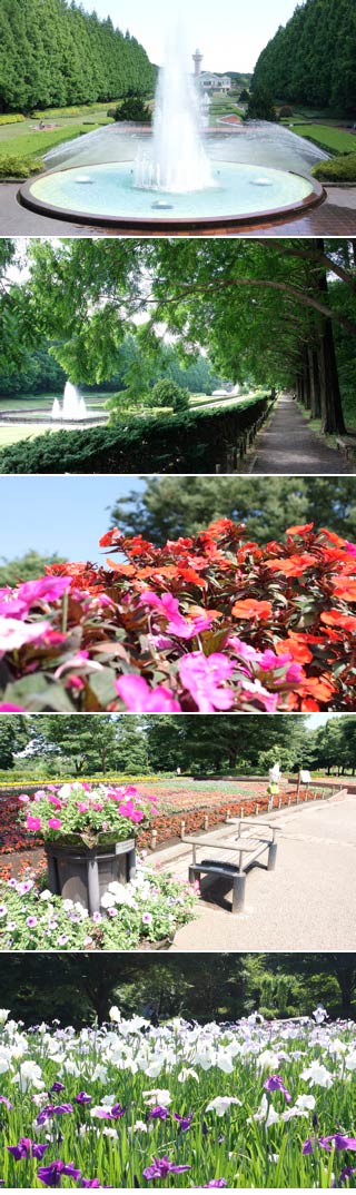 Sagamihara park