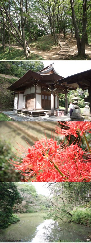 寺屋ふるさとの森