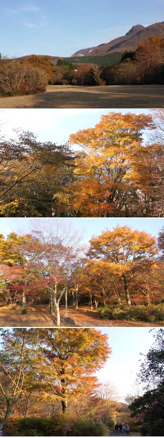 箱根高原