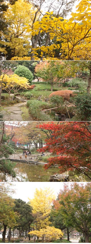 Yokohama Park