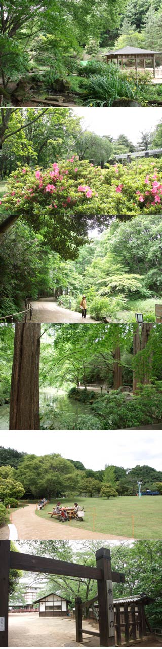 Ikuta Green Park