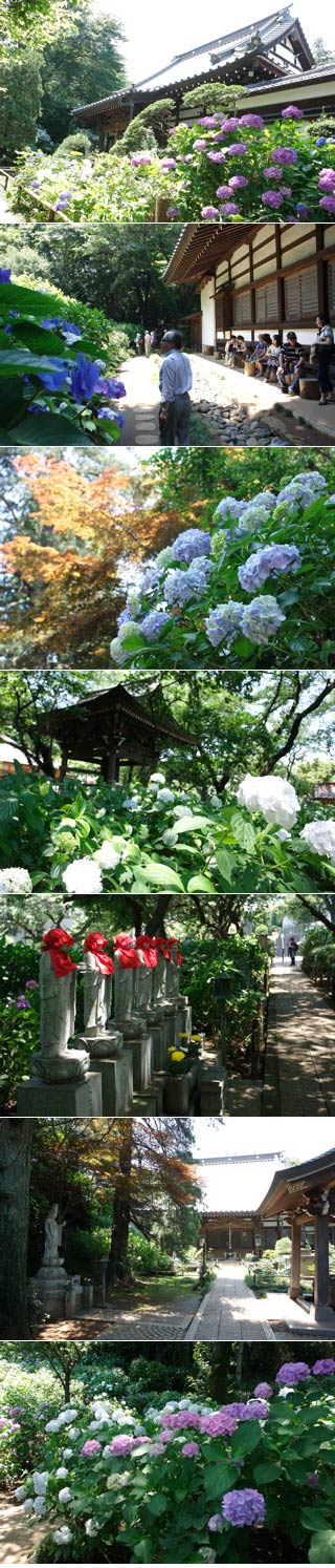 Myorakuji Temple