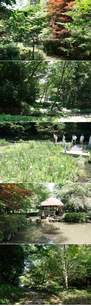 Higashitakane Forest Park