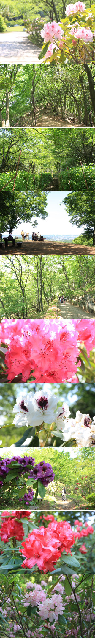 Nanasawa Forest Park