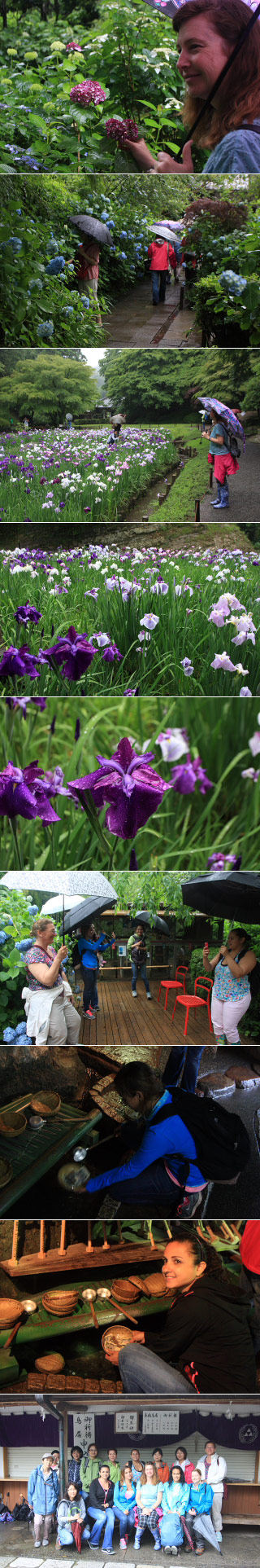 June in Kamakura