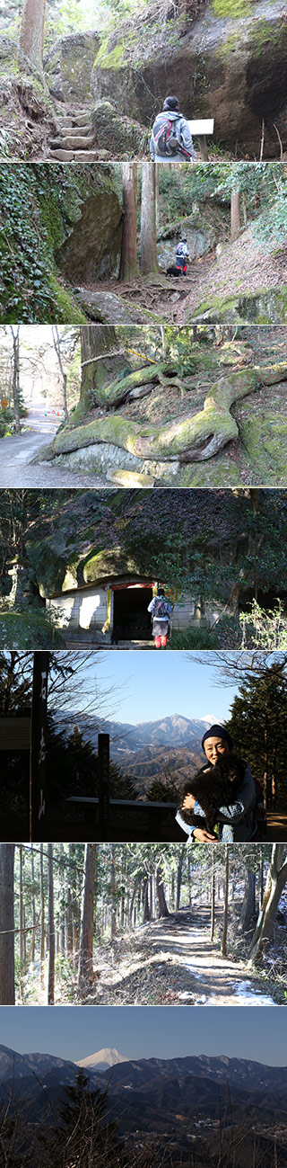Mt. Sekiro hiking
