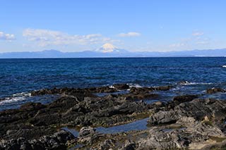 長井岡崎