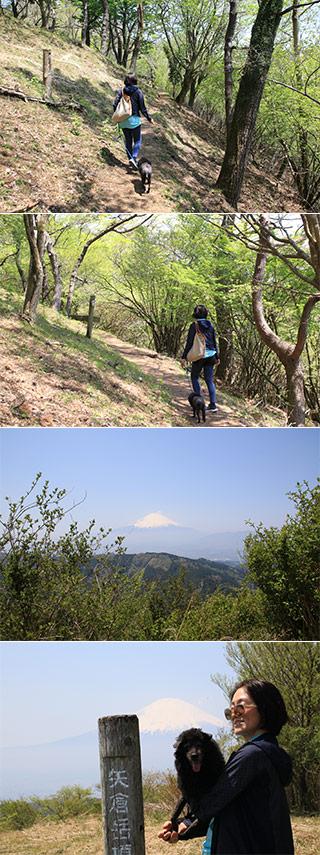 Mt. Yaguradake